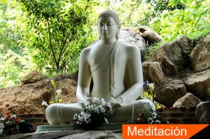zen, loto, paz, agua, meditacion, te, calma, mindfullnes.